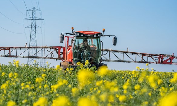 A machine spraying a field of oilseed.
